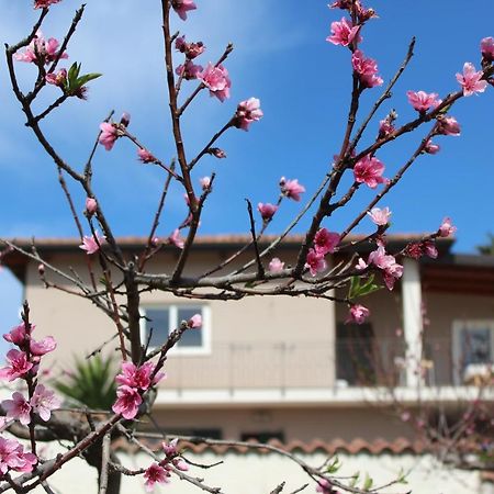 Residenza Anna Calabria Bed and Breakfast Briatico Εξωτερικό φωτογραφία